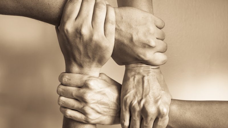 A Matter of Trust: Does Collectivism Matter in Trust Decisions?