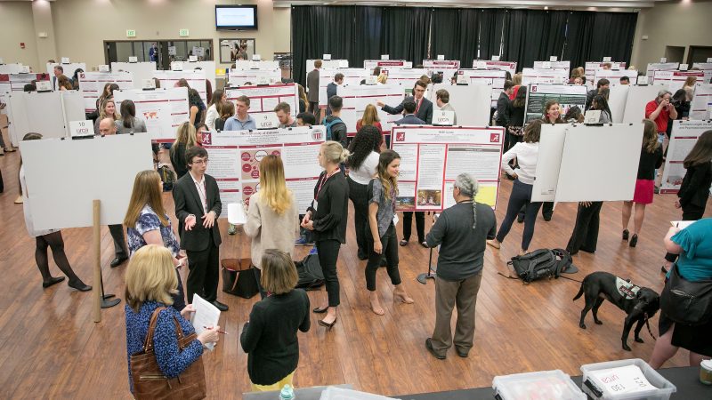 Culverhouse Faculty Scholars Program Accepting Faculty Mentors for 2023-2024